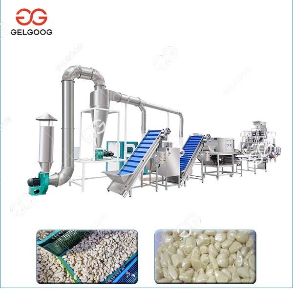Peeled Garlic Production Line