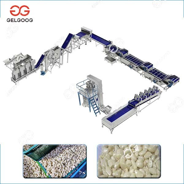 Peeled Garlic Production Line