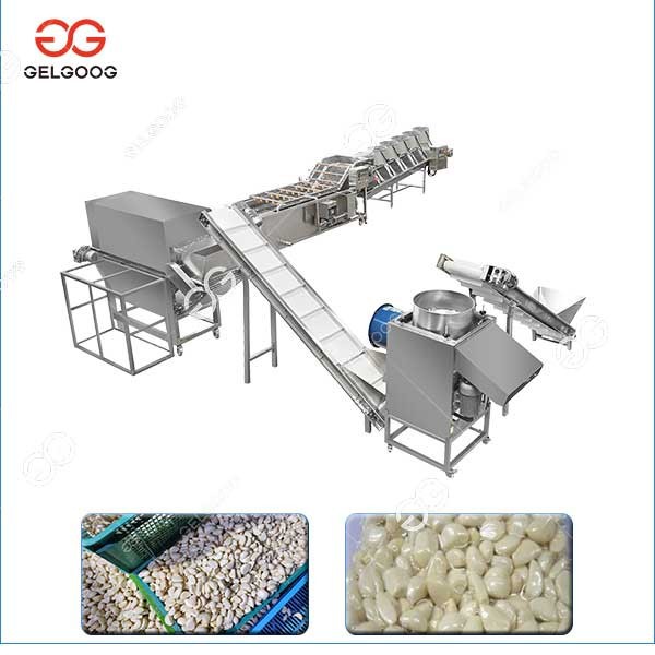 Peeled Garlic Production Line