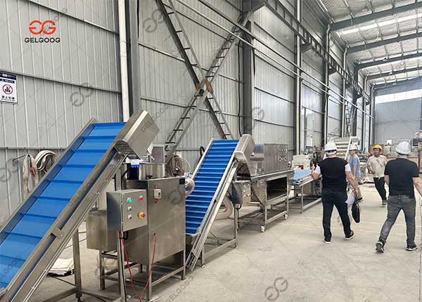 industrial-Peeled-Garlic-Production-Line industrial-Peeled-Garlic-Production-Line